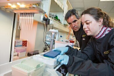 Pipetting Robot Provides Flexibility in Virology Research