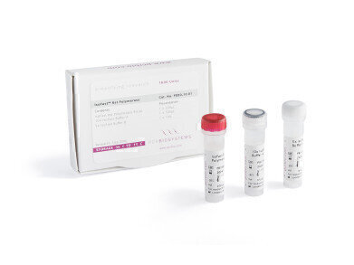 PCR Biosystems launches advanced Bst Polymerase reagents