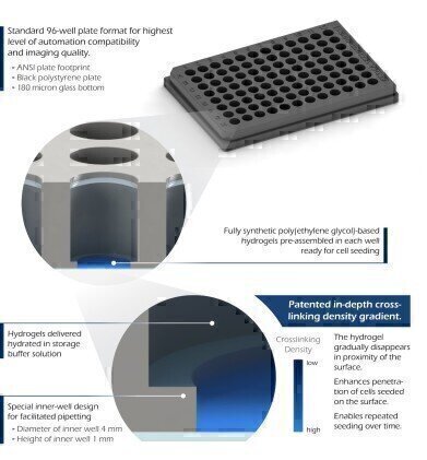 High-Throughput 3D Cell Culture Using TrueGel3D® HTS Hydrogel Plates