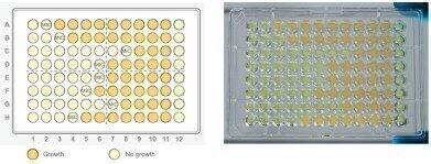 Liquid Handling Solutions for Drug Development Workflows