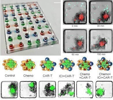 Novel Assay Platform for 3D Microfluidic Cancer Research