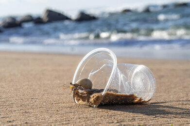 Microplastics threaten biodiversity of marine life