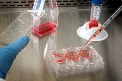 What Are the Different Pipetting Techniques?