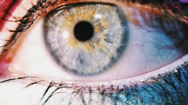 What is DNA Phenotyping?