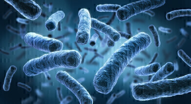 Multiple Independent Studies Demonstrate Superiority of Legiolert® for the Detection of Legionella pneumophila