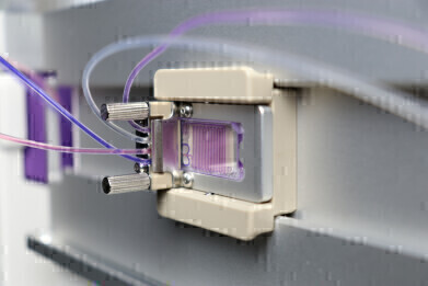 Optimising mRNA-LNP Formulation with Automated Microfluidics