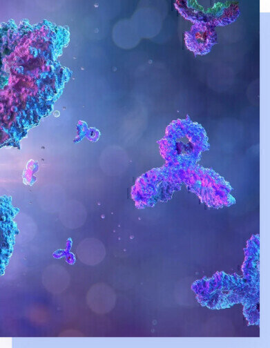 Investment to progress newly discovered Antibody Assets