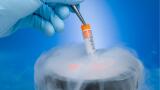 Centralising Cryostorage for Enhanced Safety and Efficiency in Laboratory Sample Management