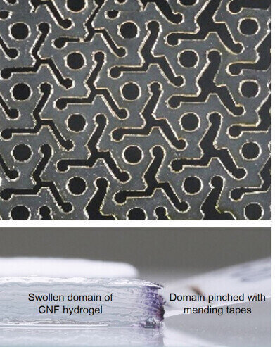 Advancements in kirigami hydrogels opens new horizons for flexible materials
