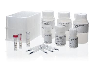 New kits for the automated extraction of high-molecular DNA