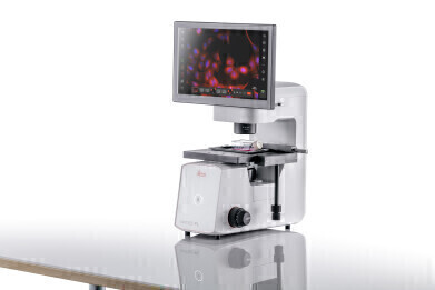 AI-enhanced workflows for advanced cell culture research