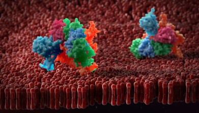 Problem-free preparation of active form membrane proteins