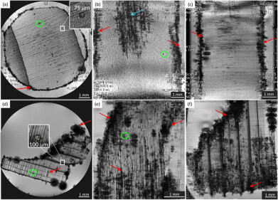 Magnetic resonance imaging also sheds light on history without destroying fragile finds – ancient Roman harbour wooden structures analysed at the University of Oulu, Finland