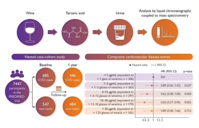 Relationship established between moderate wine consumption and improved cardiovascular health