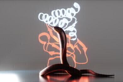 AI-designed proteins shown to neutralise snake venom toxins