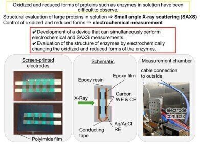 Electrochemical x-ray scattering unlocks secrets of redox enzymes