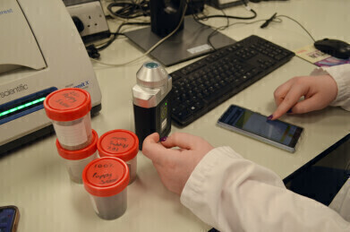 Fast, accurate solution for herb and spice authentication