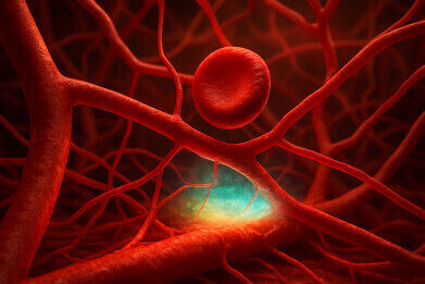 Momentary capillary stalls in the brain trigger dangerous oxygen loss: study