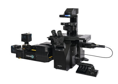 New spinning disk confocal microscopes for live-cell imaging