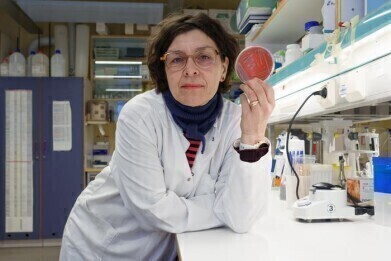 Newly identified bacterium found to have a broad spectrum of antibiotic resistance