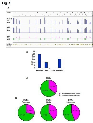 Gene hunt using DNA methylation suggest RABGGTB as autism biomarker candidate