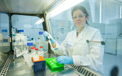 Quality reagents and custom solutions for molecular biology