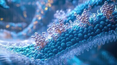 Rapid membrane protein synthesis accelerates drug discovery