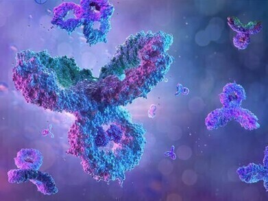 Validated antibodies support stem cell purity and consistency