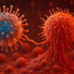 Researchers engineer herpes virus to enhance T cell activity for cancer immunotherapy