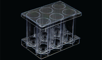 Scalable 6-well cell culture and filtration system for small molecule development