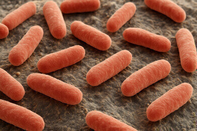 Mouth and gut bacteria linked to cognitive decline in Parkinson’s disease by King’s team