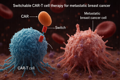 Calibr–Skaggs doses first patient with switchable CAR-T cell therapy in phase 1 trial for metastatic breast cancer