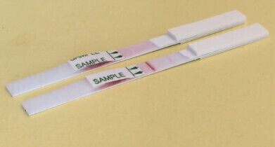 Rapid test speeds diagnosis of deadly mucormycosis after pandemic surge 