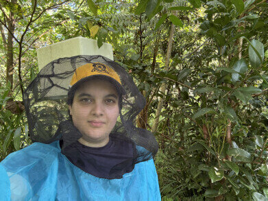 Honey from native Australian bees shows promise in addressing AMR