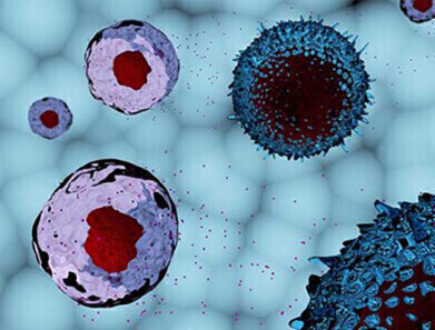 High-purity exosome standards improve EV research reproducibility