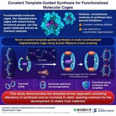 Template-guided synthesis enhances yield, functionality in oligophenylene molecular cages