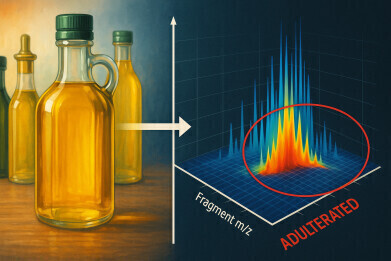 SinS 2025: Testing for adulteration across varied cooking oils with 2D mass spectrometry
