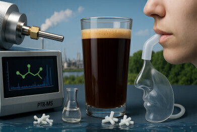 SinS 2025: PTR-MS evolves to tackle complex real-time analysis across air, food, environment