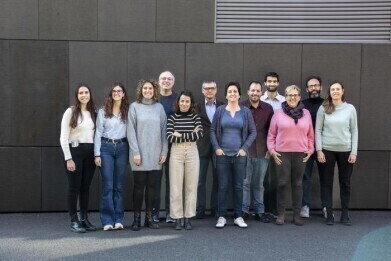 Altered neuronal cholesterol uptake in Alzheimer’s linked to APOE4 variant