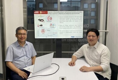 KAIST study links inflammation of placenta during pregnancy to paediatric allergies