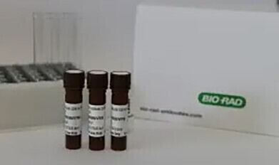 Expanded antibody and reagent portfolio for bioanalysis