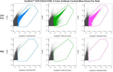 Antibody cocktails simplify EV staining and phenotyping