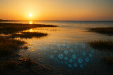 How climate change could have driven deadly fungus to infect humans