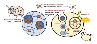 Time-released gel delivers a targeted strike against aggressive brain tumours