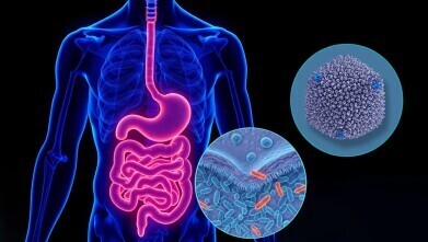 Scientists reveal how gut pathogens assemble tiny protein ‘factories’ to survive