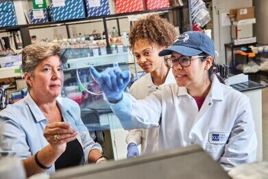 p53 protein rewrites cancer rules: Signalling guides immune response