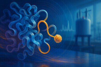 Tokyo team unveils novel NMR method to reveal enzyme movements in unprecedented detail