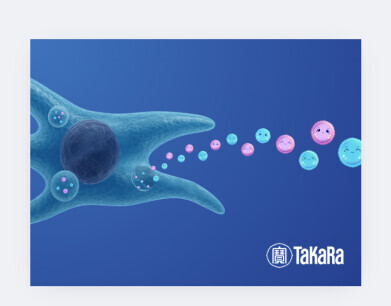 Defined medium for scalable production of stem cell-derived vesicles