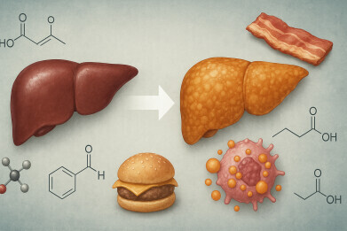 Mouse study raises concerns about long-term ketogenic diet effects on obesity and type 2 diabetes