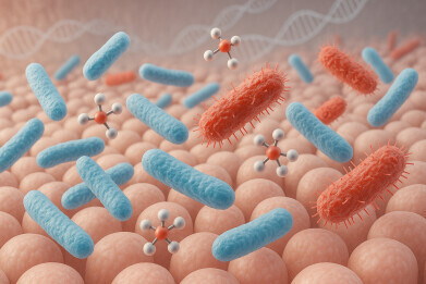Researchers uncover natural gut defence to reduce antibiotic resistance in infants
